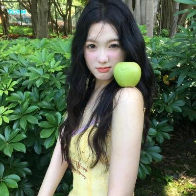 丹迪的解剖学